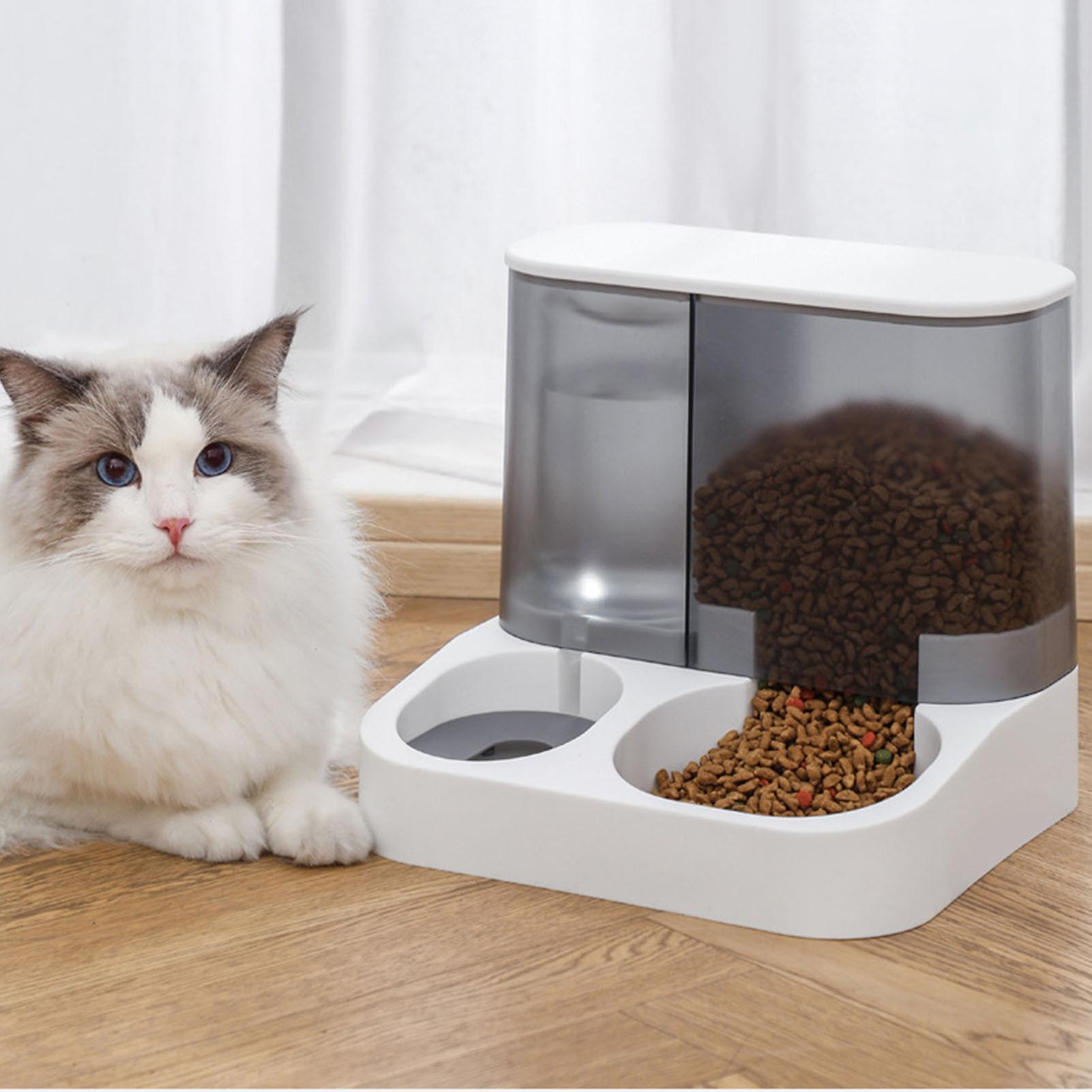 Automatic pet feeder and waterer best sale